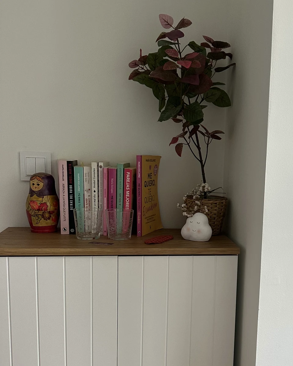 Rincón de la consulta con un mueble blanco, libros y una planta